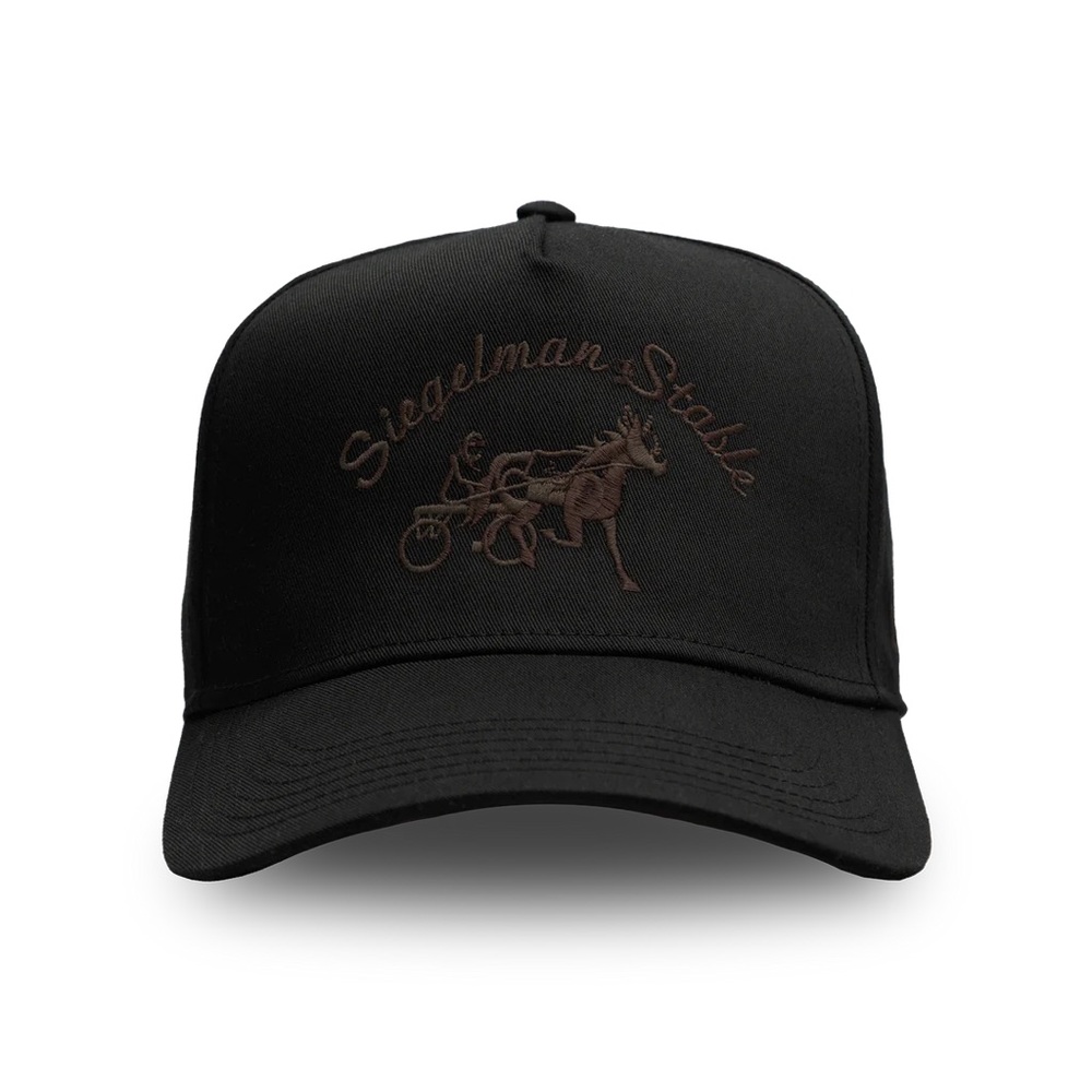 Siegelman stable hat